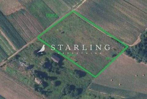 Sveti Ivan Zelina Bauernhöfe, Landwirtschaft, Sveti Ivan Zelina Forstwirtschaft