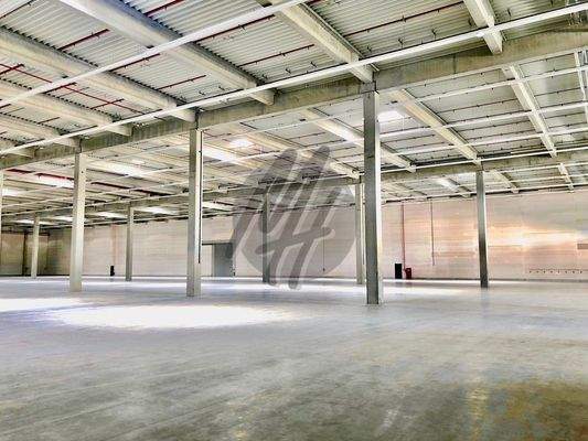 INFOS UNTER: 06171-586000