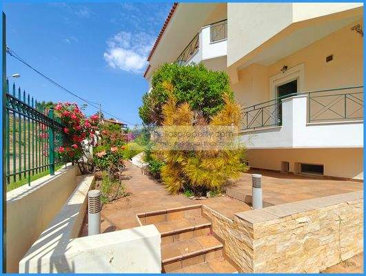 P4282 Xylokastro (17)