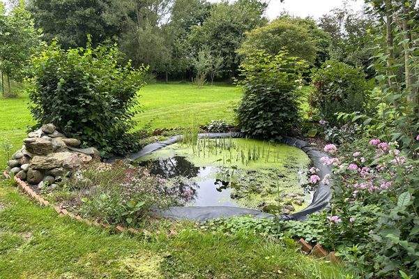 einer von drei Gartenteichen