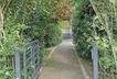 Gepflasterter Weg zum Haus