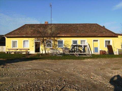 Kleinhaugsdorf Renditeobjekte, Mehrfamilienhäuser, Geschäftshäuser, Kapitalanlage