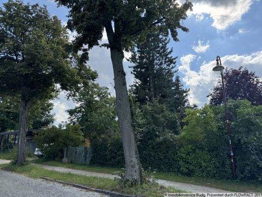 Blick von der Straße auf das Grundstück