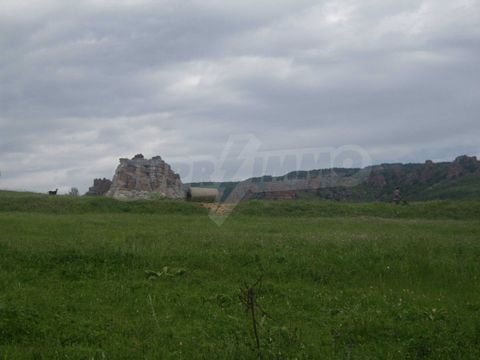 Borovitsa Bauernhöfe, Landwirtschaft, Borovitsa Forstwirtschaft