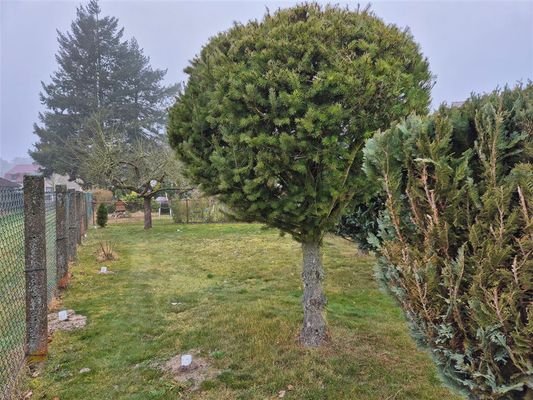 Gartenbereich
