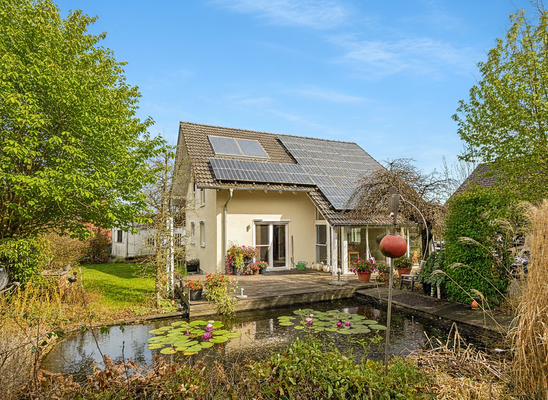 Garten mit Koi-Teich (Visualisierung Sommer)