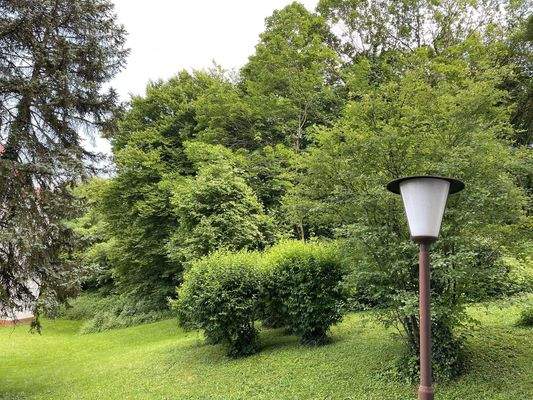 Grünanlage vor dem Haus