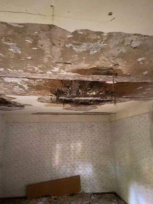 5e67f261-05b0-432e-9b8b-2ad1249a656d