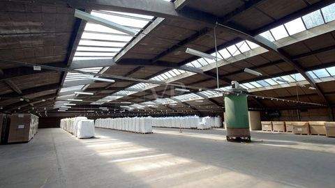 Kirkel / Limbach bei Homburg (Saar) Halle, Kirkel / Limbach bei Homburg (Saar) Hallenfläche