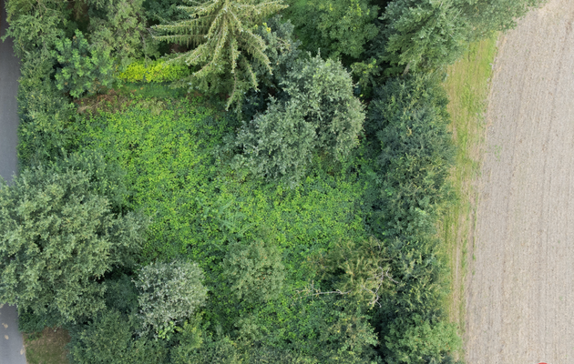 Screenshot at Oct 05 14-45-11