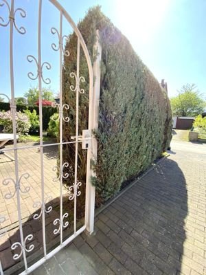 ein kurzer Blick in den Garten.....
