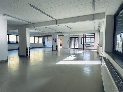 Ditzingen / Heimerdingen Halle, Ditzingen / Heimerdingen Hallenfläche