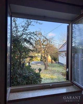 Blick in den Obstgarten