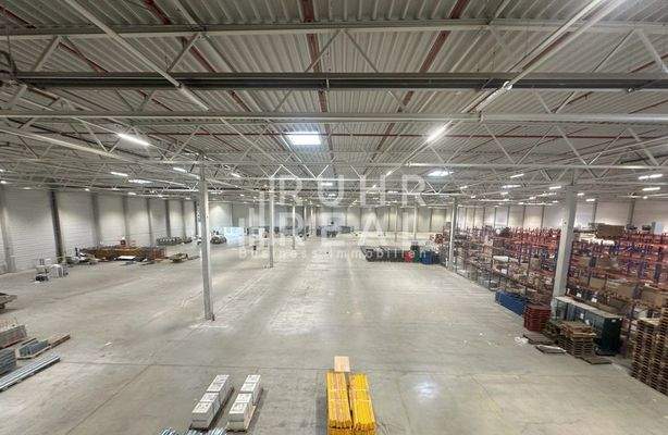 Innenansicht Hallenfläche