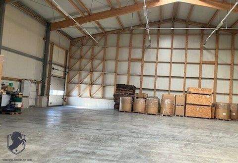 Antau Halle, Antau Hallenfläche