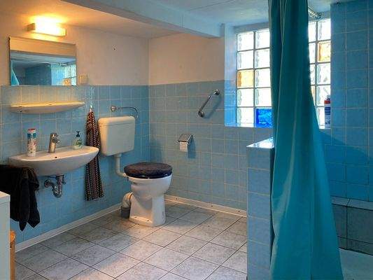 Haus Badezimmer EG.jpg