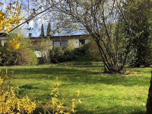 Jahreszeit Frühling/Sommer