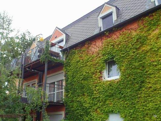 Ansicht Seitengebäude