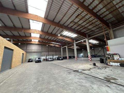 Detmold Halle, Detmold Hallenfläche