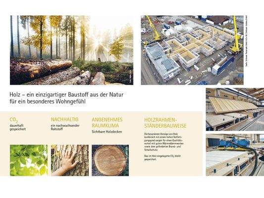 Holz – ein einzigartiger Baustoff