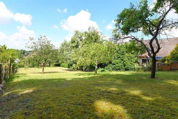 Garten/mögl. Baugrundstück