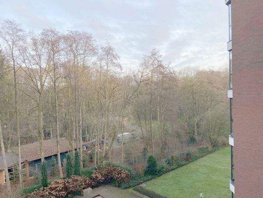 Umfeld_Blick vom Balkon.jpg