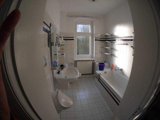 Foto T5 BFW (14).JPG