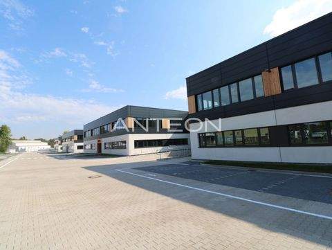 Düsseldorf Halle, Düsseldorf Hallenfläche