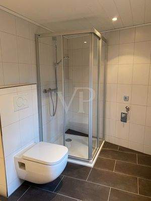 Tageslicht-Duschbad (2)