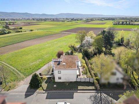 Edingen-Neckarhausen Häuser, Edingen-Neckarhausen Haus kaufen