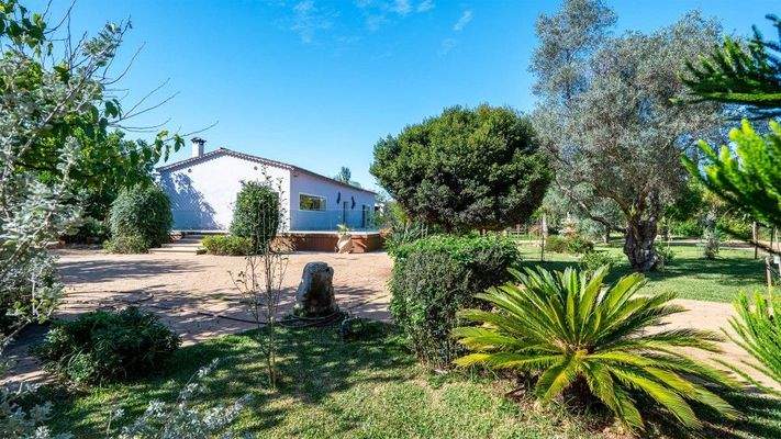 Binissalem Mallorca Finca zu verkaufen Garten BHHS-BAL-1061