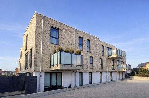 Bargteheide Wohnungen, Bargteheide Wohnung mieten