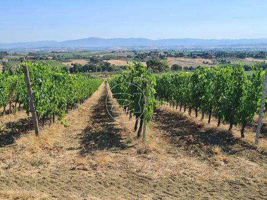 Wunderschönes Anwesen