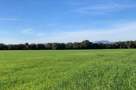 Campos Grundstücke, Campos Grundstück kaufen