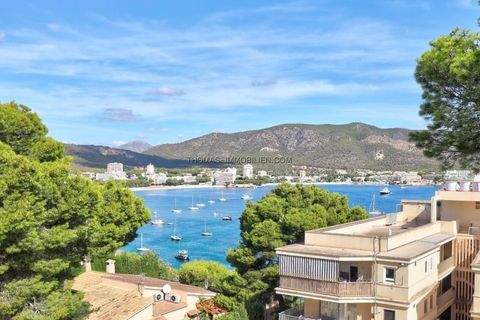 Torrenova Wohnungen, Torrenova Wohnung kaufen