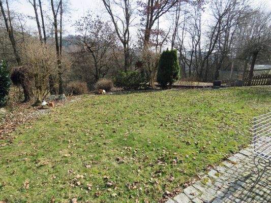 sonniges Grundstück 