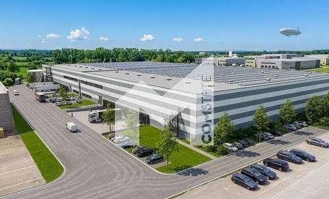 Erftstadt Halle, Erftstadt Hallenfläche