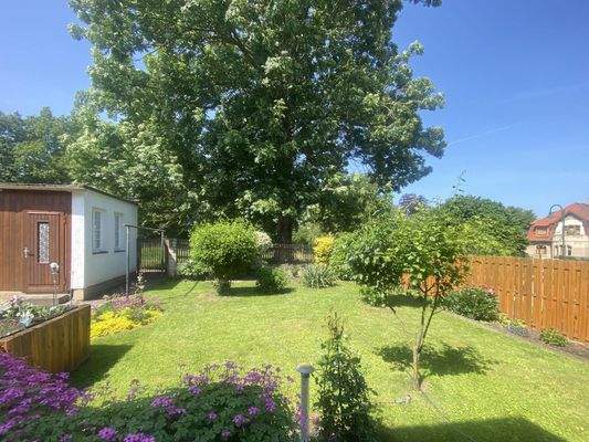 westlicher Gartenblick- Blick ins Grüne