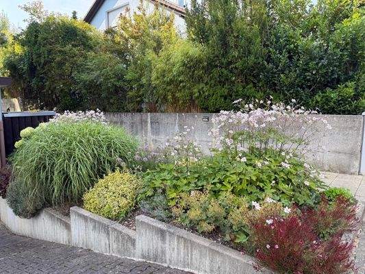 Außenbereich Ansicht 1