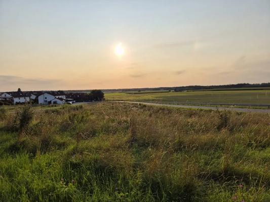 8c35cd08-1057-4d36-bfc3-3adb4c6101b4-1928688547