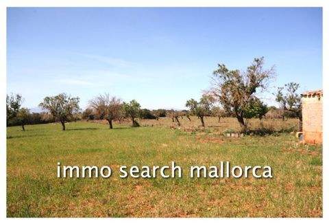 Arta Grundstücke, Arta Grundstück kaufen