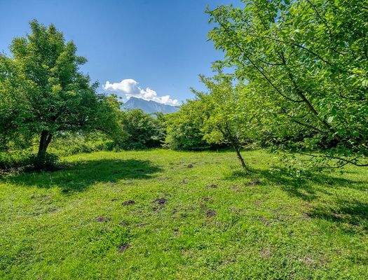 HP4-Grundstück-mit-Altbestand-Maxglan-Aussicht-Untersberg