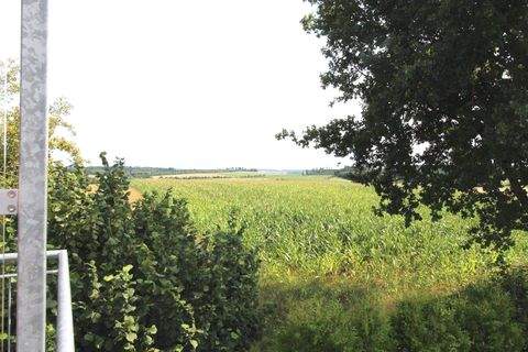 Hagelstadt Häuser, Hagelstadt Haus kaufen