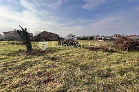 Centar, Loborika Bauernhöfe, Landwirtschaft, Centar, Loborika Forstwirtschaft