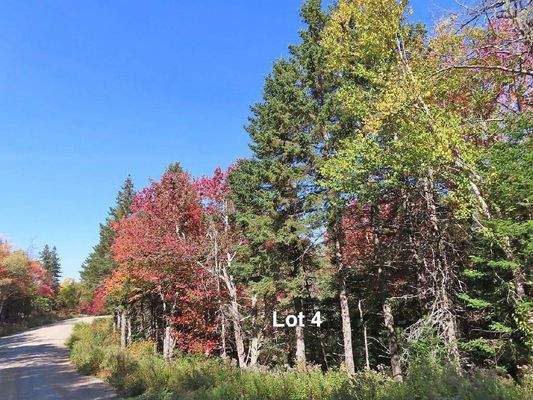 Nova Scotia - West Side Country Harbour - Preiswer