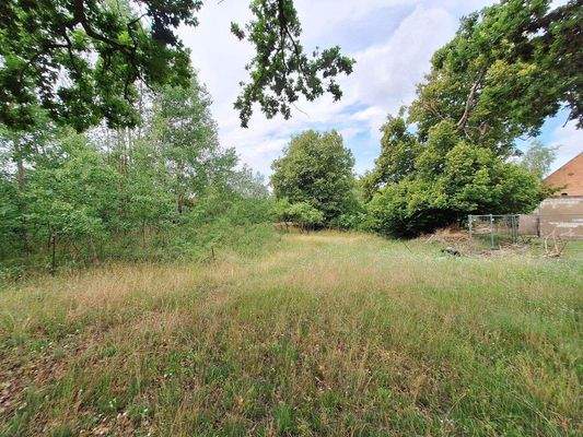 Blick ins Gründstück.jpg