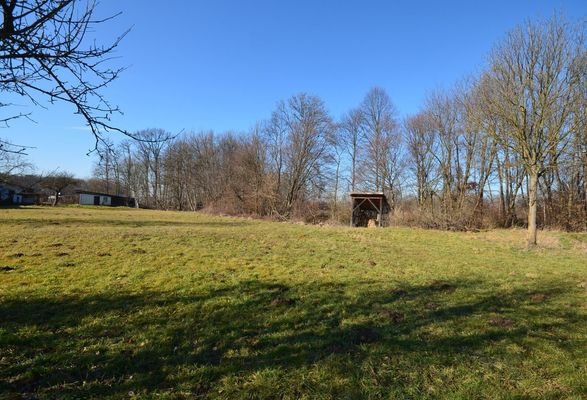Bild 15
