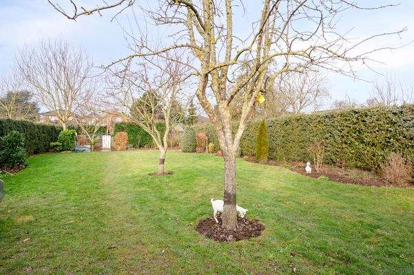 Mühlenweid 48, Waldfeucht-28.jpg