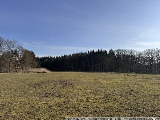 Ansicht III