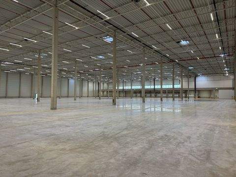 Soltau Halle, Soltau Hallenfläche